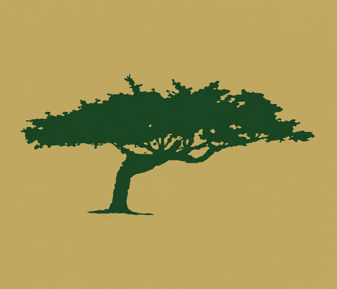 Cypress Investment Real Estate