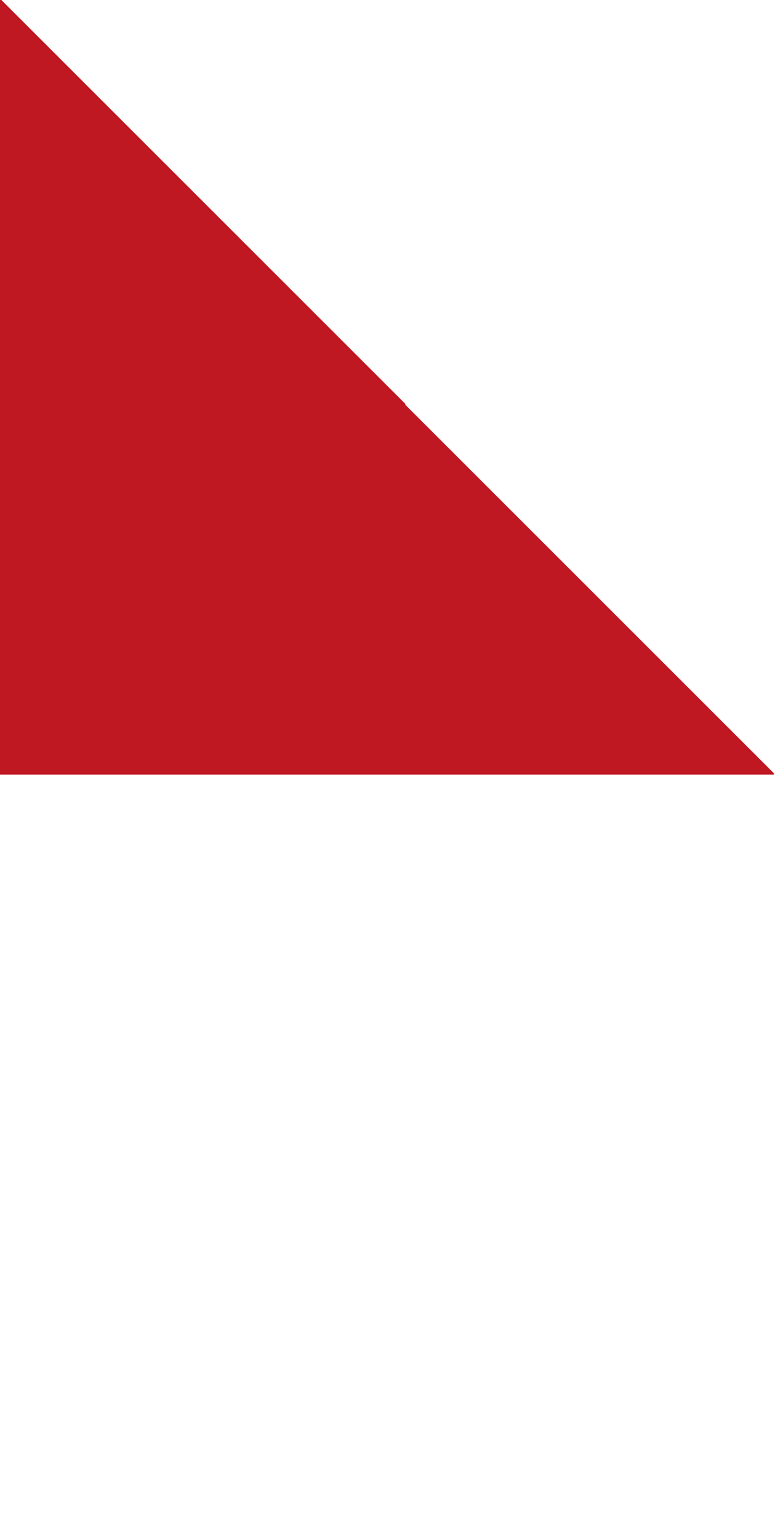Real View Design & Development
