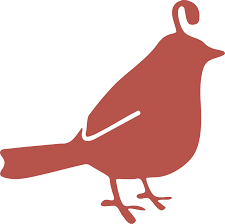 Nest DC LLC