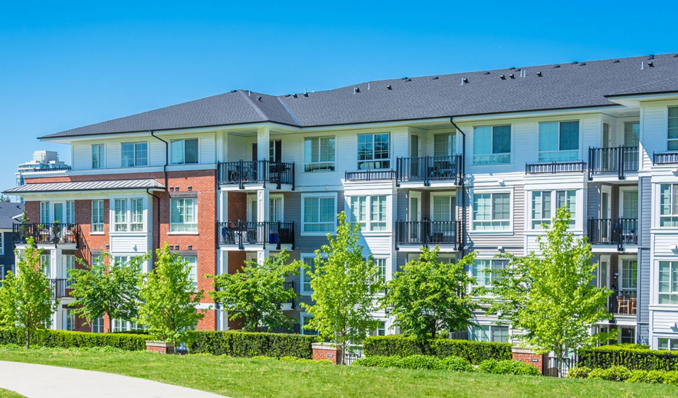 PMI SouthBay cover image