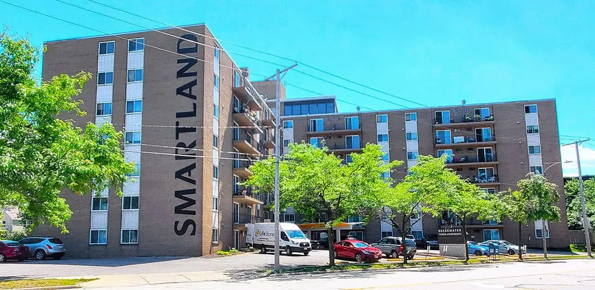 Smartland cover image