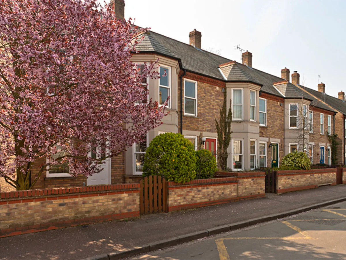 Beechwood Estates & Development cover image