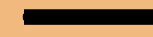Champion Hotels logo
