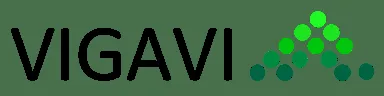 Vigavi Realty logo