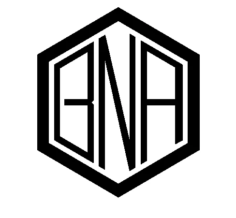 BNA Associates logo