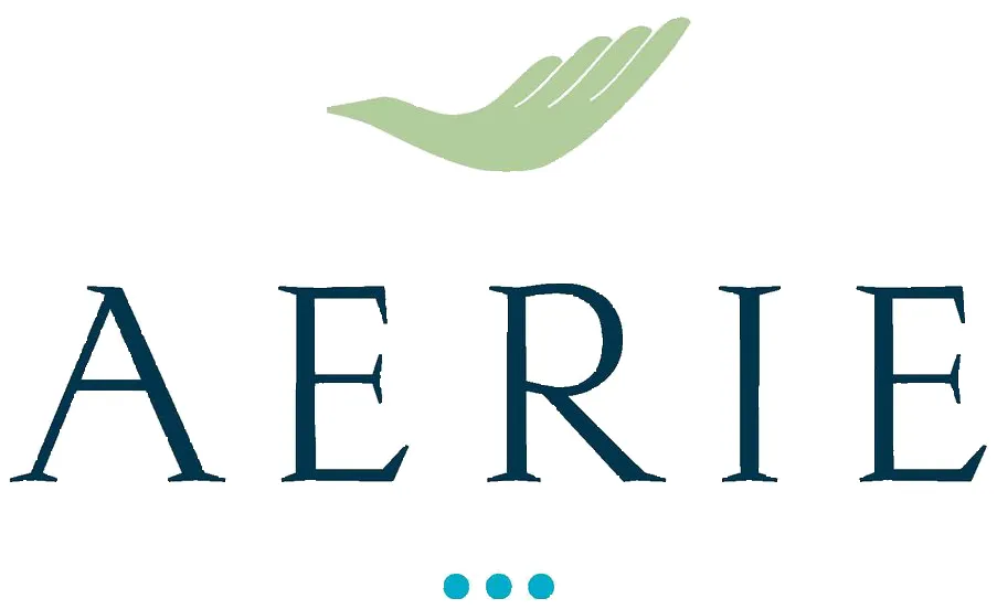 Aerie logo