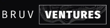 Bruv Ventures logo