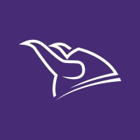 Viking Partners logo