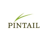 Pintail logo