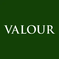 Valour Group logo