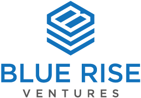 Blue Rise Ventures logo