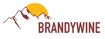 Brandywine Financial Services Corporation logo