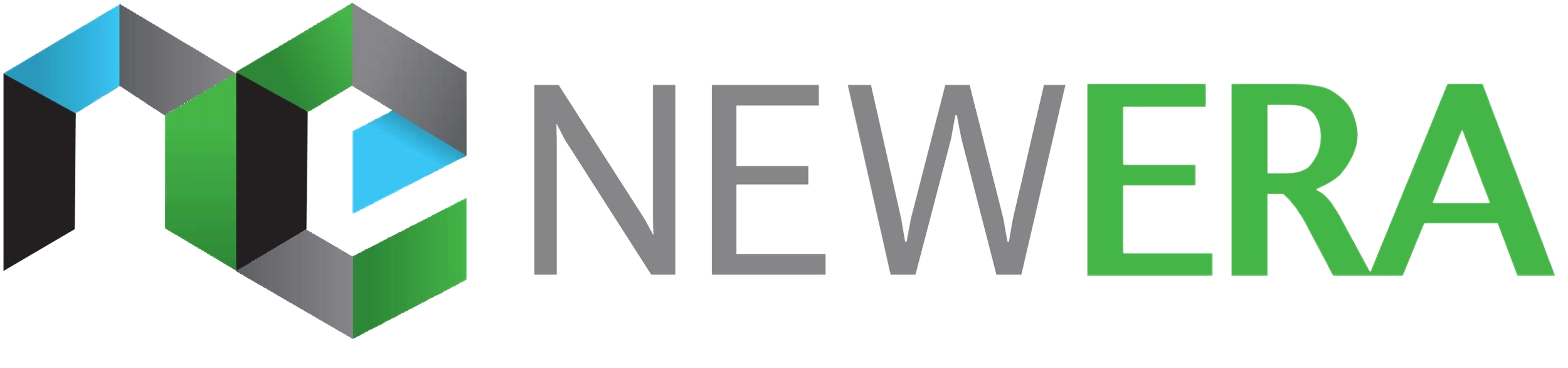 New Era Development Group logo