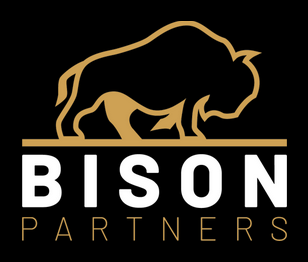 BISON Partners logo
